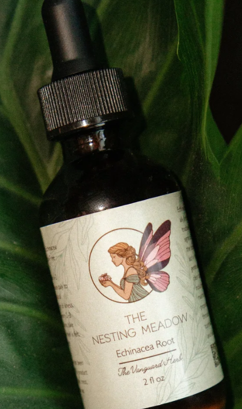 Echinacea Tincture