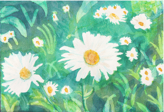 Daisies Card