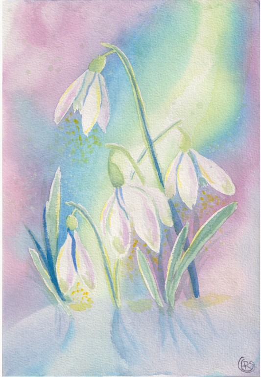 Snow Drop Card